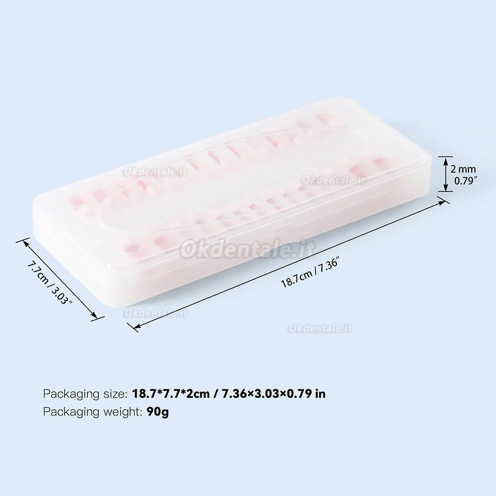 Typodont dentale 28 pezzi /set , modello di pratica canalare